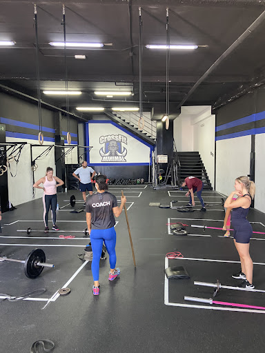Crossfit Minimal, Parla - Madrid