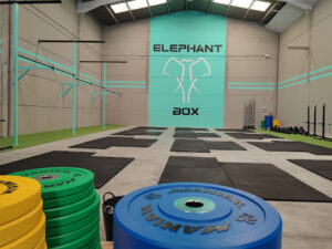 Imagen de Elephant Box