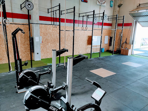 Elite Fitness RipollèS en Ripoll