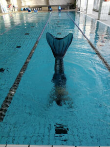 Imagen de Esportiu MèTric