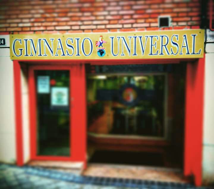 Gimnasio Universal, Villaviciosa de Odón - Madrid