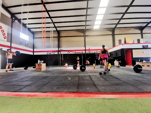 crossfit en HALTER – CROSS