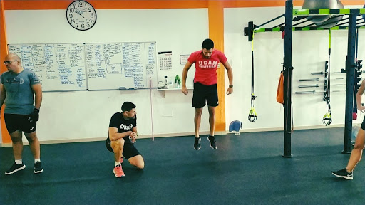 Morefit, Ceutí - Murcia