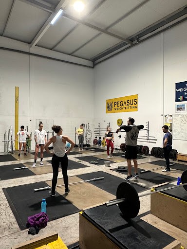 Pegasus Training Center en Poligono Industrial de Arinaga