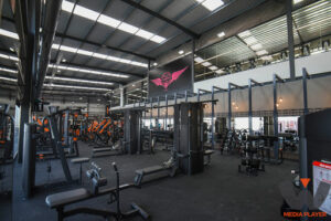 Imagen de Wonder Company