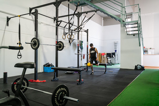 Z Fight Academy en Palmera